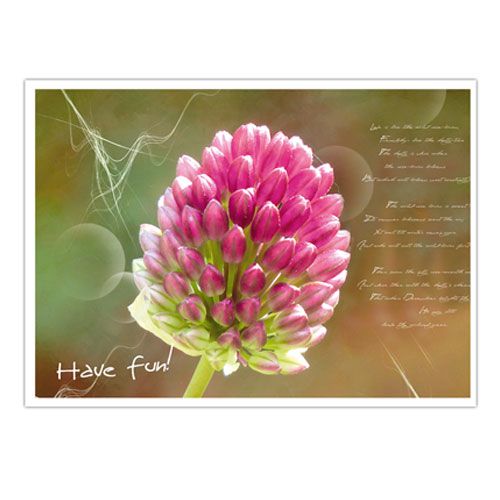 Floristik24 Des cartes postales avec des motifs floraux trient. 4st