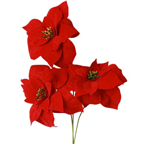 Floristik24 Magnifique étoile de Noël - Poinsettia en rouge - 46 cm 6pcs 2 bouquet