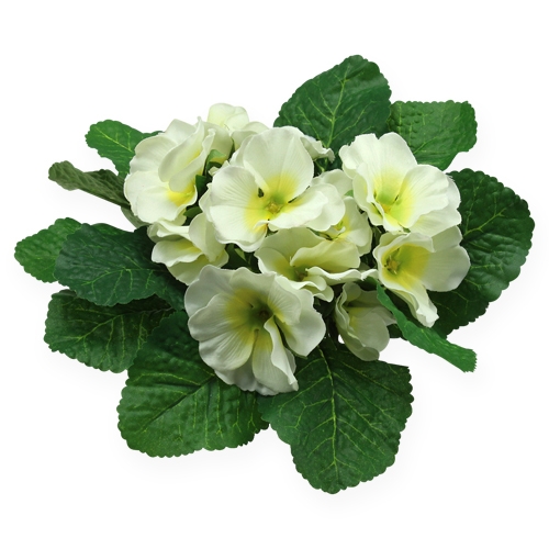 Floristik24 Fleurs artificielles crème d&#39;onagre