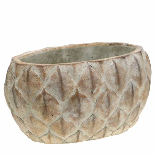 Floristik24 Pot à fleurs motif feuille de béton ovale 23 cm
