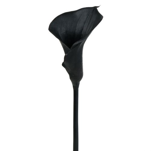 Floristik24 Déco Calla Noir 75cm