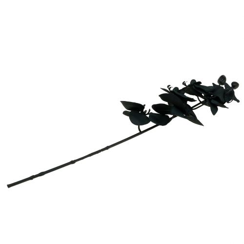 Article Orchidée à décorer Noir 54cm