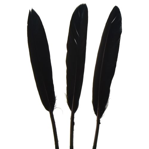 Article Plumes noires Plumes d&#39;oie décoratives noires 11-14 cm 180 pcs