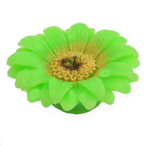 Bougie flottante gerbera vert Ø 7,5 cm