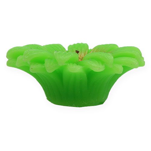 Floristik24 Bougie flottante gerbera vert Ø 7,5 cm