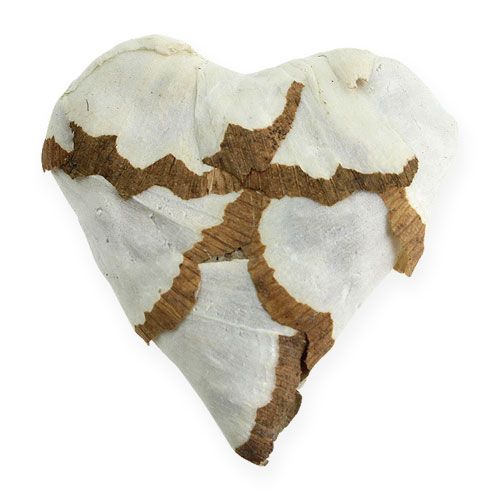 Floristik24 Sola Coeur de chou 6cm plat 12 pcs.