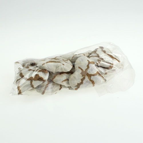 Floristik24 Sola Coeur de chou 6cm plat 12 pcs.
