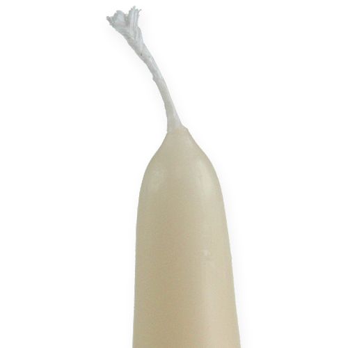 Floristik24 Bougie pointue 300/40 crème 8pcs