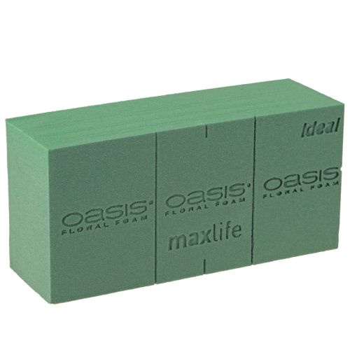 Article Mousse florale Idéal 20 briques