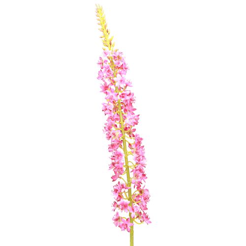 Article Bougie Steppe Queue du Désert Rose 106cm