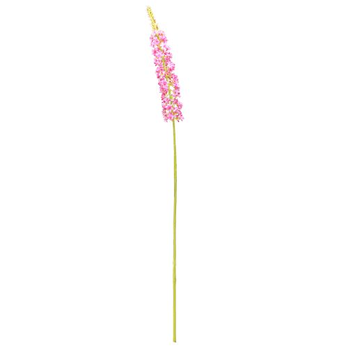 Article Bougie Steppe Queue du Désert Rose 106cm