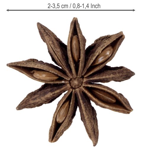Article Anis étoilé décoration objets artisanaux décoration naturelle anis séché 500g