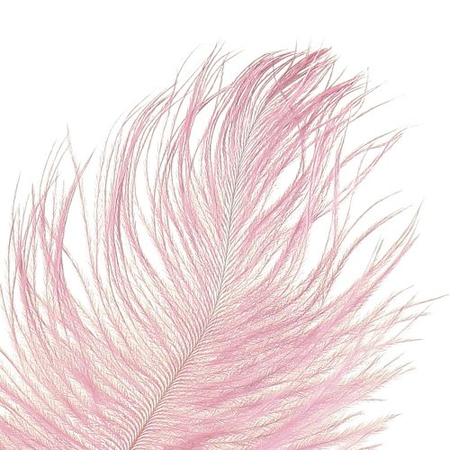 Article Plumes d&#39;autruche Vraies Plumes Décoration Rose 20-25cm 12 pcs