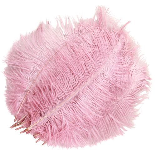 Article Plumes d&#39;autruche Vraies Plumes Décoration Rose 20-25cm 12 pcs