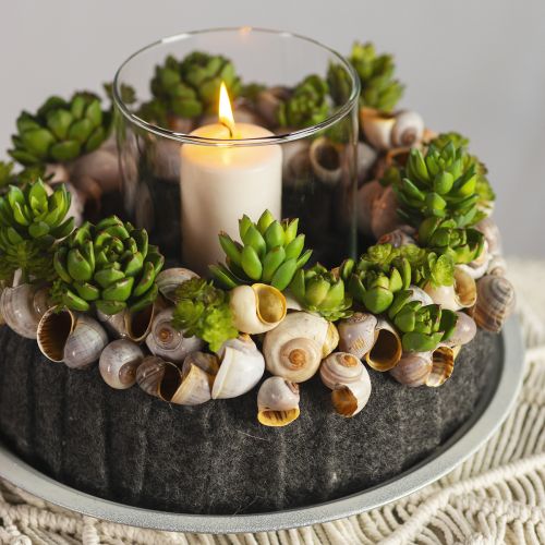 Article Plante Verte Artificielle Succulente Echeveria Vert Ø5,5cm 12,5cm