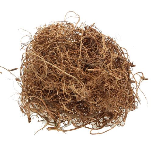 Floristik24 Fibre déco Tamarind Fiber Natur matériel artisanal fibre naturelle 500g