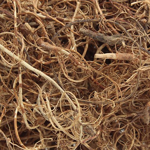 Floristik24 Fibre déco Tamarind Fiber Natur matériel artisanal fibre naturelle 500g