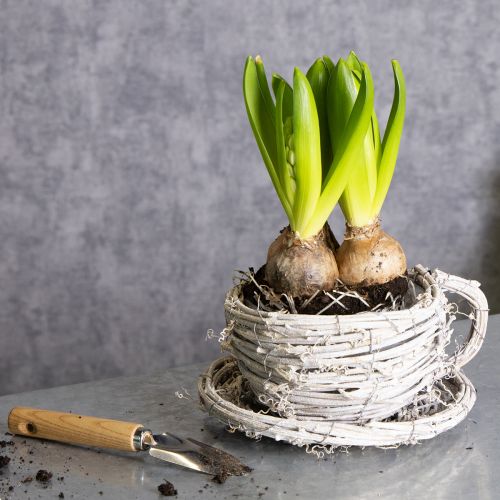 Article Tasse à thé en matériau naturel au charme rustique, idéale pour une décoration intérieure exclusive (13 cm).