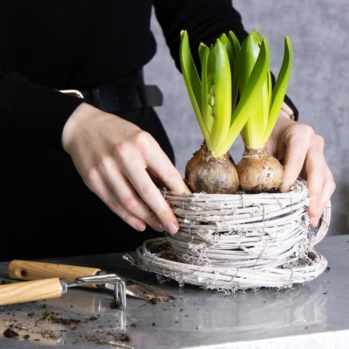 Article Tasse à thé en matériau naturel au charme rustique, idéale pour une décoration intérieure exclusive (13 cm).