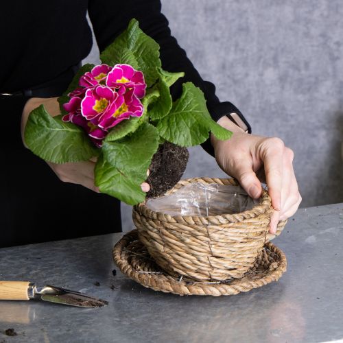 Article Panier à thé pour une décoration intérieure naturelle et une ambiance charmante 15 cm