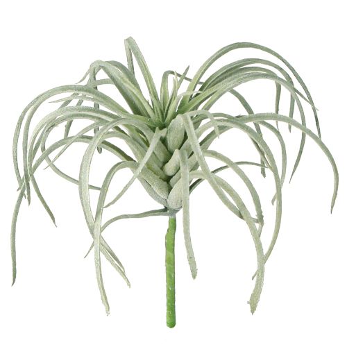 Plantes vertes artificielles succulentes Tillandsia 13 cm