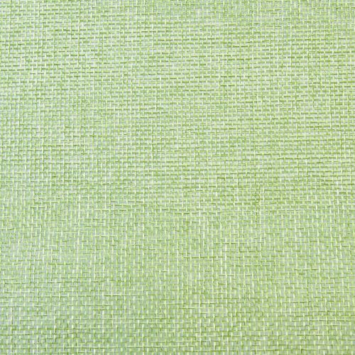Floristik24 Chemin de table vert clair avec jute, tissu décoratif 29×450cm - Chemin de table élégant pour votre décoration festive