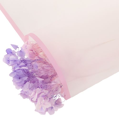 Film floral Transmatt rose résistant à l'humidité, 57 cm, prédécoupé pour bouquets, lot de 20 pièces | Floristik24.be