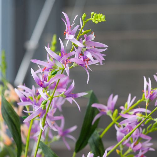 Article Triteleia, fleur artificielle pour une décoration florale élégante dans les espaces de vie, 110 cm, lot de 2.