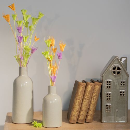 Article Fleurs de nigelle séchées, charmante décoration naturelle pour la maison, 70 cm, 50 g