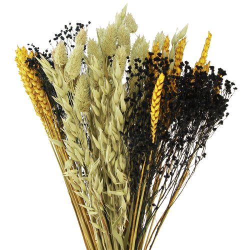 Floristik24 Bouquet de fleurs séchées grain bouquet sec jaune bleu 50cm
