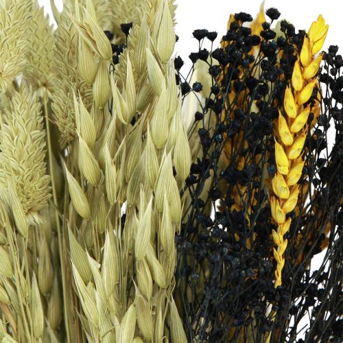 Floristik24 Bouquet de fleurs séchées grain bouquet sec jaune bleu 50cm