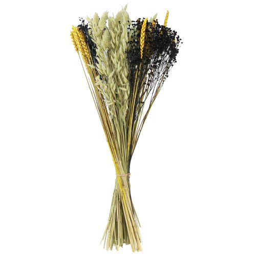 Floristik24 Bouquet de fleurs séchées grain bouquet sec jaune bleu 50cm