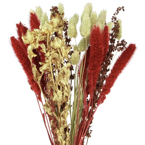 Floristik24 Bouquet de fleurs séchées grain bouquet sec rouge or 50cm