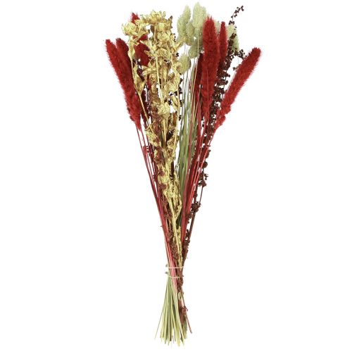 Floristik24 Bouquet de fleurs séchées grain bouquet sec rouge or 50cm