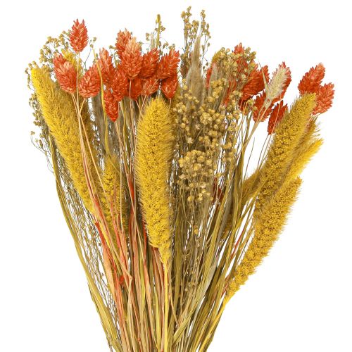 Floristik24 Bouquet de fleurs séchées avec grain orange jaune 50cm