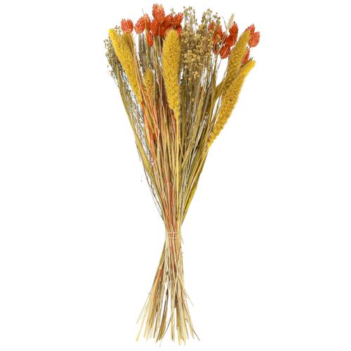 Floristik24 Bouquet de fleurs séchées avec grain orange jaune 50cm