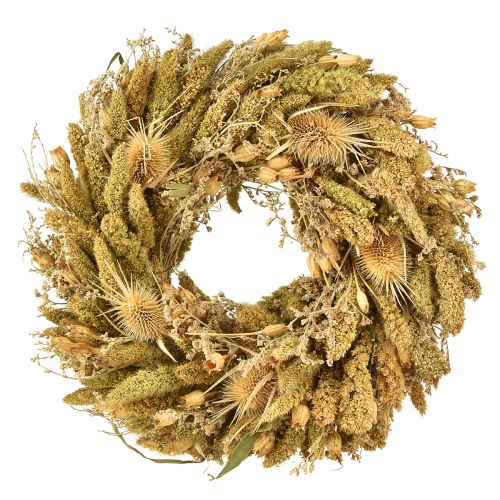 Floristik24 Couronne sèche carte chardons millet jaune vert olive Ø28cm