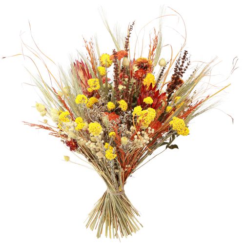 Article Bouquet sec chardon millefeuille orange blanchi 55cm 150g
