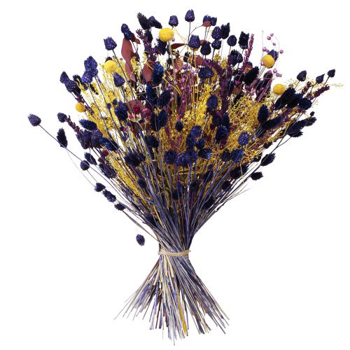 Article Bouquet sec jaune violet vert craspedia eucalyptus 53cm 150g