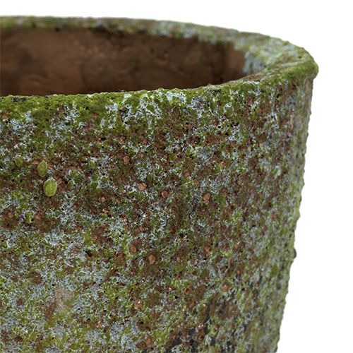Floristik24 Jardinière avec mousse Ø16cm H16cm 1p