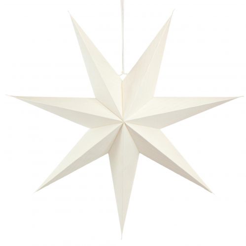 Poinsettia blanc étoile en papier pour éclairage 60cm 2pcs
