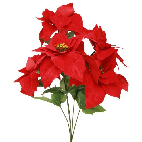 Floristik24 Poinsettia Étoile de Noël Rouge Artificiel L55cm 2pcs
