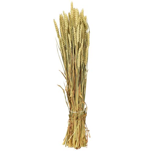 Article Blé décoratif naturel en grappe 1 botte 150g