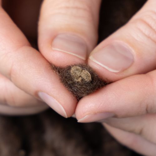 Article Cordon en laine duveteuse Mirabell, marron, ruban décoratif de 25 m pour l'art floral et les loisirs créatifs