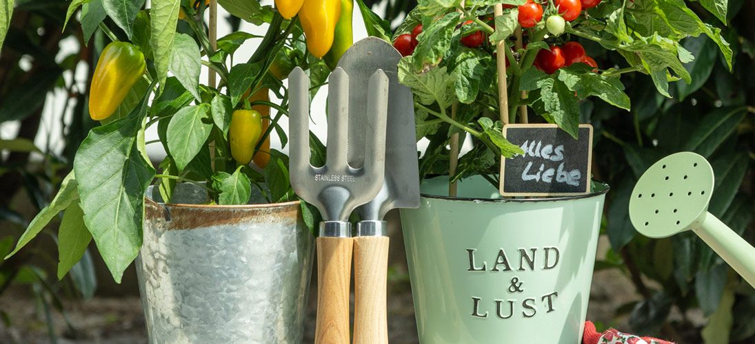 Distributeurs & Accessoires