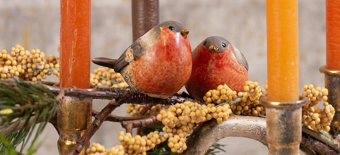 Oiseaux & papillons décoratifs