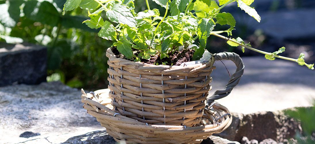 Paniers et bacs à plantes