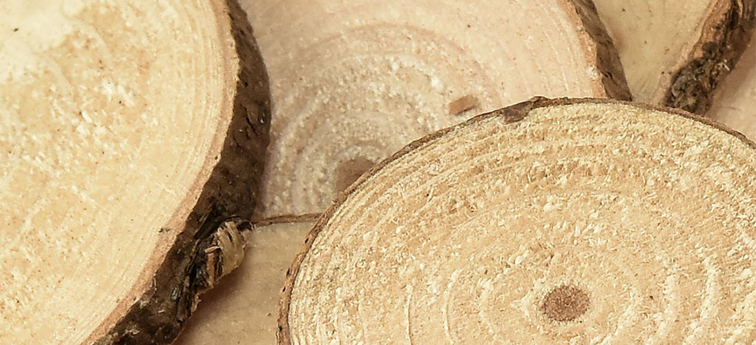 Écorces, rondins de bois