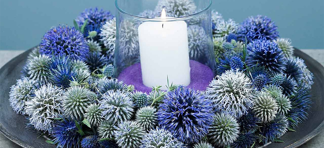 Anneaux et couronnes de mousse