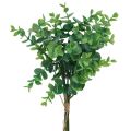 Floristik24 Branches d&#39;eucalyptus artificielles plantes artificielles vertes 34cm 6pcs